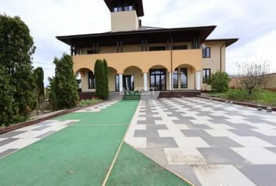 Casă cu 7 camere cu Piscina în Vișani - 10