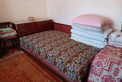 Casă cu 3 camere cu Teren 900 Mp în Drănic - 8
