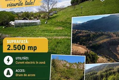 Teren de 2500 mp, în Dâmbovicioara - 5