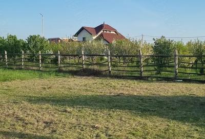 Teren de 801 mp, în Frumușeni - 2