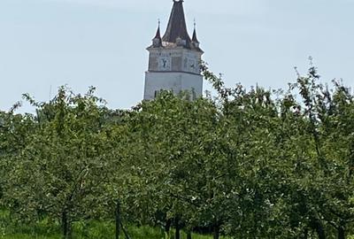 Teren în Hărman - 6