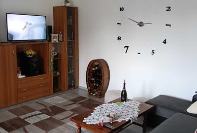 Casă cu 2 camere în Fotoș - 4
