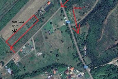Teren de 5000 mp, în Șimian - 2