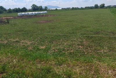Teren Construcții intravilan de 5000 mp, în Bod - 9