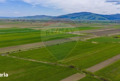Teren de 4000 mp, în Prejmer - 15