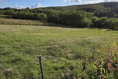 Teren de 9500 mp, în Cârjiți - 2