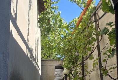 Casă individuală cu 8 camere cu Canalizare în Ciolpani - 51