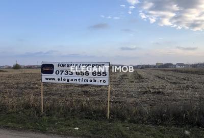 Teren agricol intravilan de 15800 mp, în Corbeanca - 1