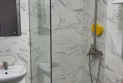 Garsonieră decomandată în Dristor - 3