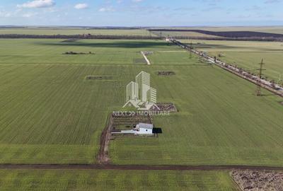 Teren agricol intravilan de 427 mp, în Exterior Vest - 7