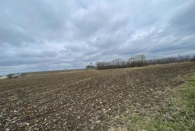 Teren Construcții intravilan de 5000 mp, în Est - 6