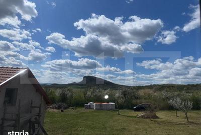 Casă cu Teren 1700 Mp în Rapoltu Mare - 11