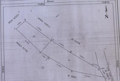 Casă cu 5 camere cu Teren 750 Mp în Ultracentral