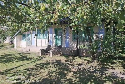 Teren de 7900 mp, în Români