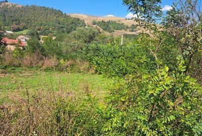 Teren de 2700 mp, în Papiu Ilarian - 3