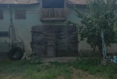 Casă cu Teren 3500 Mp în Amărăști