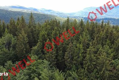 Teren de 23000 mp, în Vama Buzăului - 2