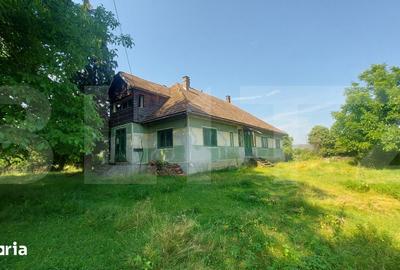 Casă cu 9 camere cu Teren 36000 Mp în Central - 3
