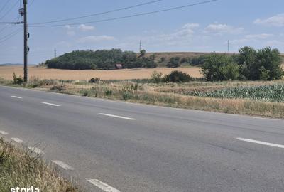 Teren de 7300 mp, în Vințu de Jos - 2