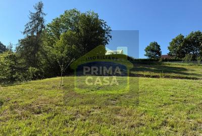 Teren Construcții intravilan de 3434 mp, în Valea Roșie