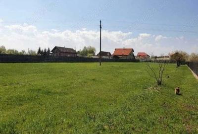 Teren de 6000 mp, în Nord - 2