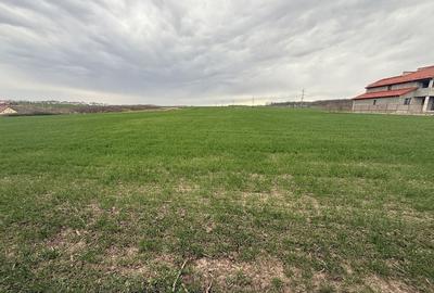 Teren de 15000 mp, în Aroneanu - 1