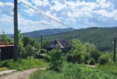 Teren de 2440 mp, în Șerbănești (Sălătrucel) - 4