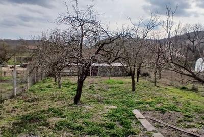 Casă cu 3 camere în Bădeni - 4