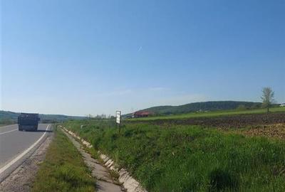 Teren Construcții intravilan de 4367 mp, în Hidișelu de Sus - 6