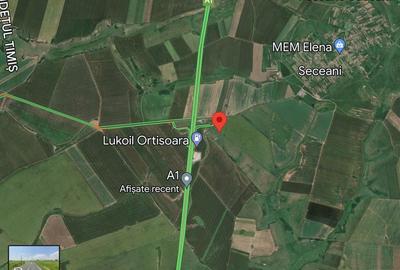 Teren Construcții extravilan de 30588 mp, în Orțișoara - 4