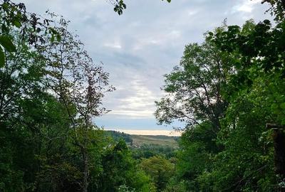 Teren intravilan de 1475 mp, în Central