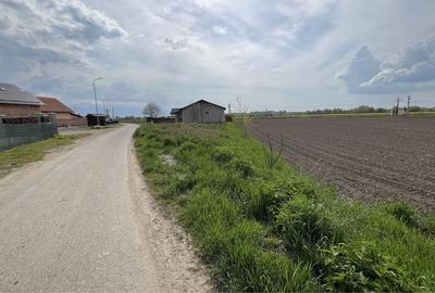 Teren de 2900 mp, în Ileni - 2