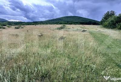 Teren în Geoagiu-Băi - 2