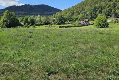 Teren de 1434 mp, în Viișoara