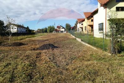 Teren Construcții intravilan de 1000 mp, în Snagov - 2