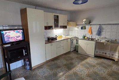 Casă cu 5 camere cu Teren 6000 Mp în Central - 1