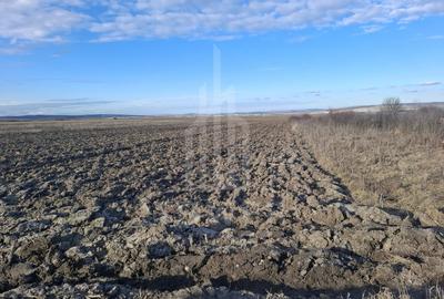 Teren agricol intravilan de 4300 mp, în Cristian - 4