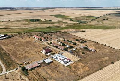 Teren Construcții intravilan de 90000 mp, în Bărăteaz - 15