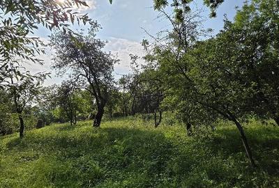 Teren de 2000 mp, în Talea