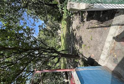 Casă cu 4 camere cu Teren 1094 Mp în Moravița - 3