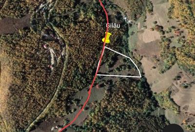 Teren de 15000 mp, în Plopi - 1