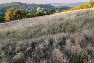 Teren de 8926 mp, în Tigveni