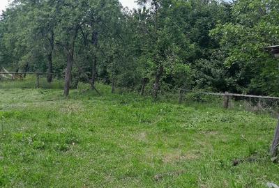 Casă cu Teren 3850 Mp în Roșia - 5