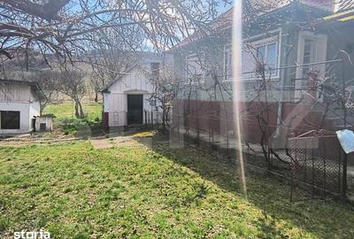 Casă cu 1 camere cu Teren 2500 Mp în Mintiu Gherlii - 4