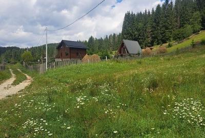 Teren de 2500 mp, în Valea Doftanei - 3