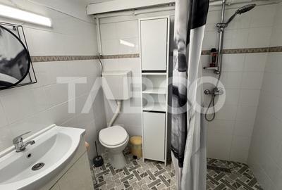 Apartament cu 2 camere decomandat, mobilat în Sub Arini - 3