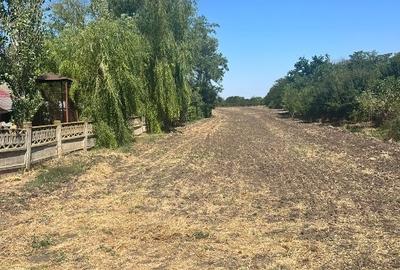 Teren agricol intravilan de 4800 mp, în Sălciile - 5