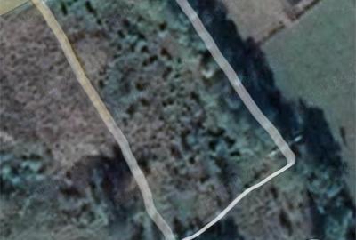 Teren de 3600 mp, în Hârja