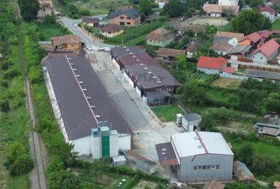 Spațiu comercial, de 2,500 mp, în Sângeorgiu de Pădure - 1
