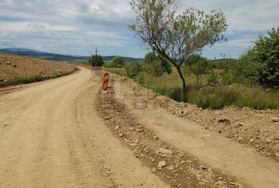Teren agricol extravilan de 1800 mp, în Avrig - 2